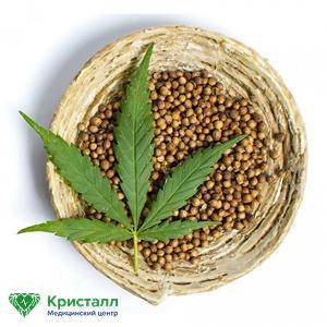 Чаша с семенами конопли
