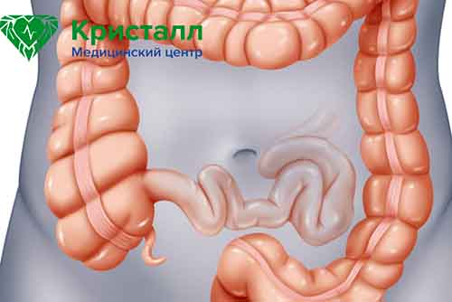 Кишечник человека